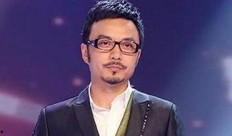 汪涵爆料男明星视频播放,揭秘娱乐圈不为人知的一面